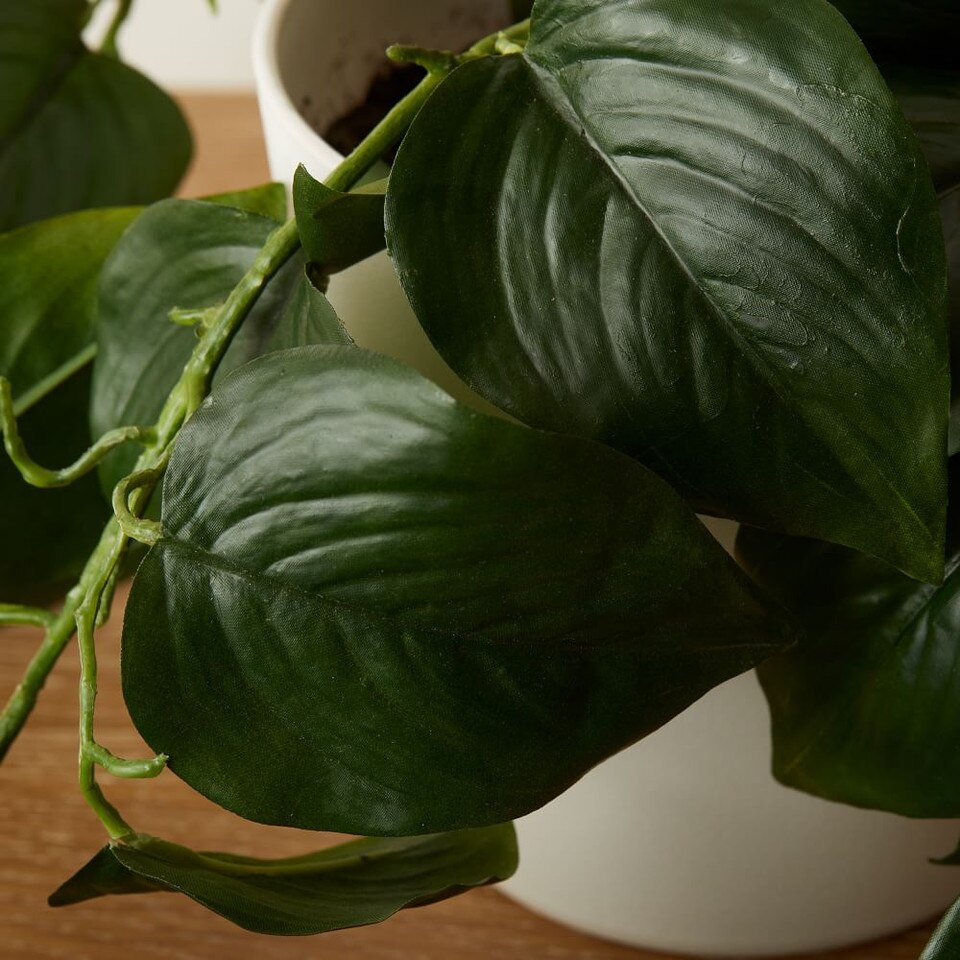 Faux Potted Green Philodendron West Elm UK